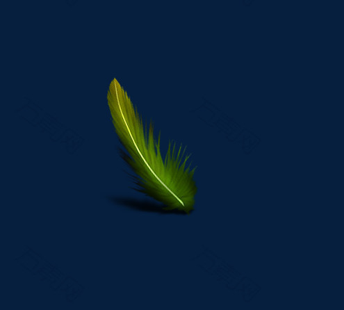 绿色羽毛免扣素材