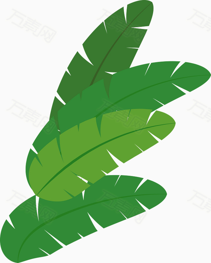 芭蕉叶矢量图图片免费下载_卡通手绘_万素网