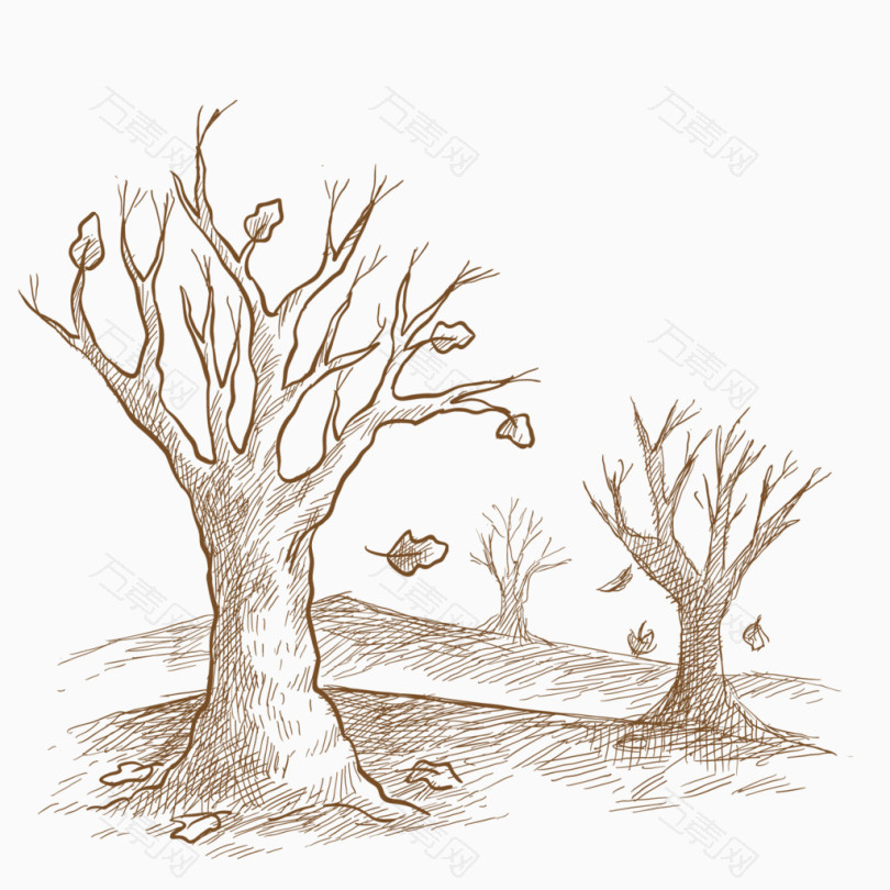落叶树画法图片