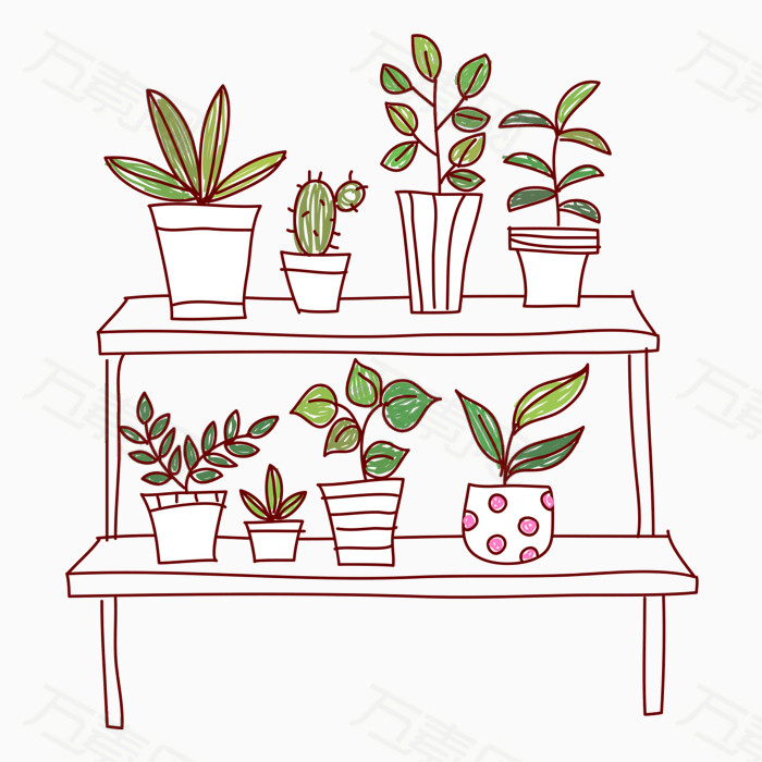 卡通 手绘 植物 放置架