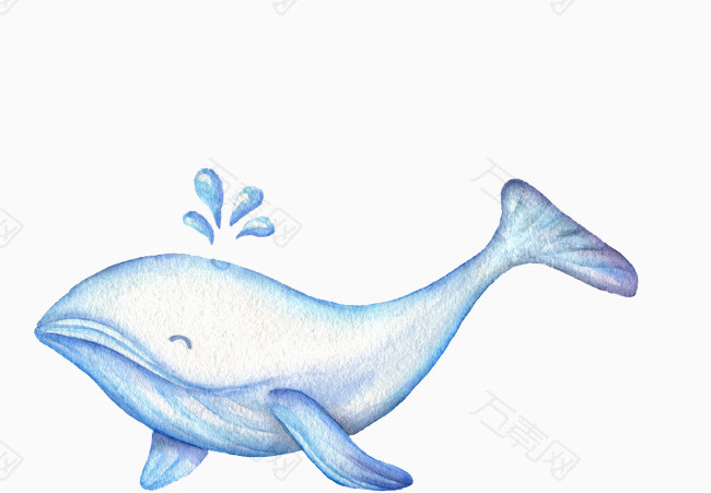 卡通手绘鲸鱼