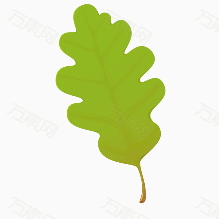 漂亮 可爱 叶子 矢量