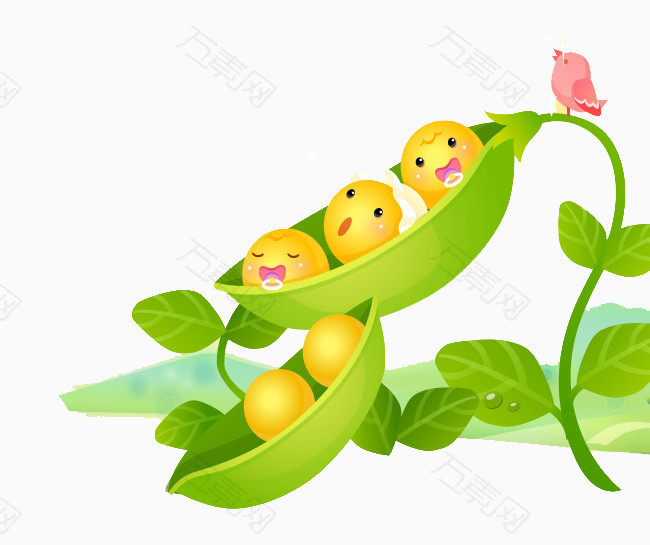 豌豆种子卡通图片图片