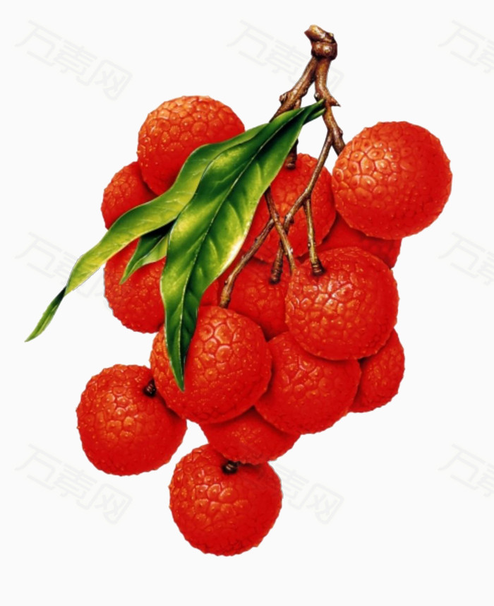 万素网 素材分类 荔枝水果图片 7290                           提示