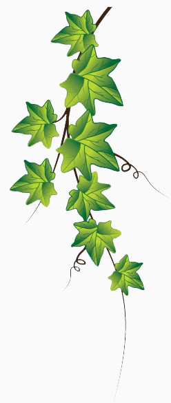 手绘绿叶 绿色枝条 绿藤 藤条
