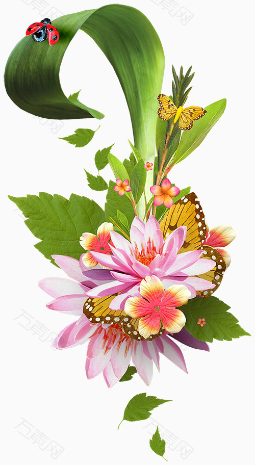 花朵花边