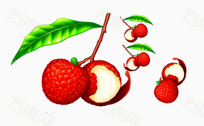 美味的荔枝素材图片