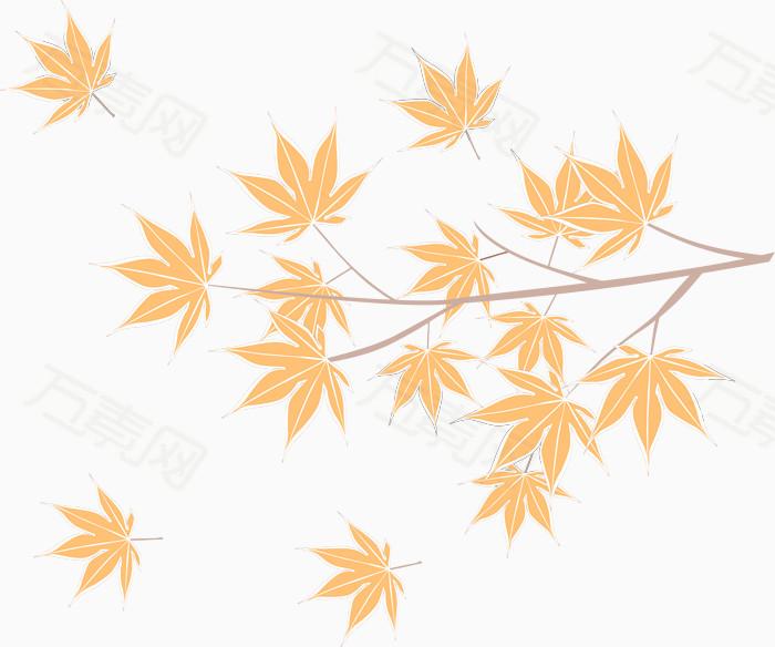 枫叶图片免费下载_装饰元素_万素网