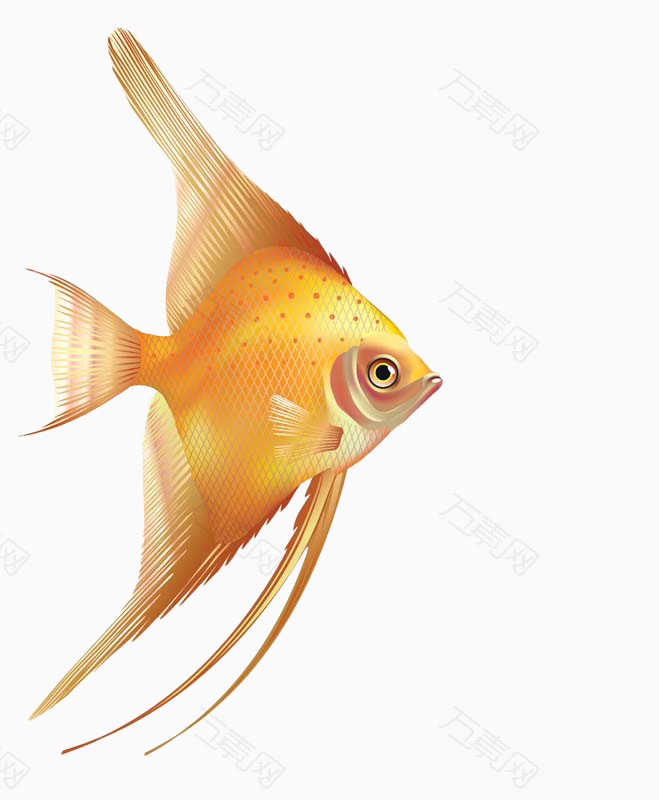 卡通黄色三角鱼