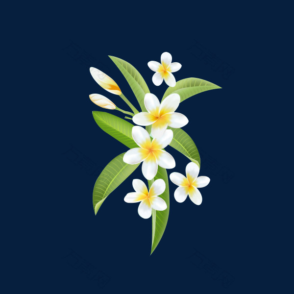 清雅花朵叶子透明背景底图免抠元素图片-元素素材5871815-万素网