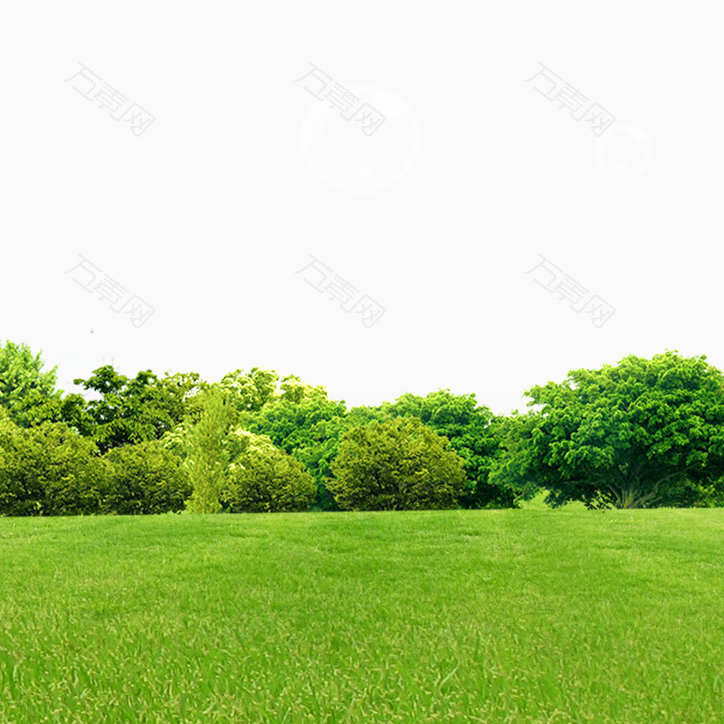 树林草地