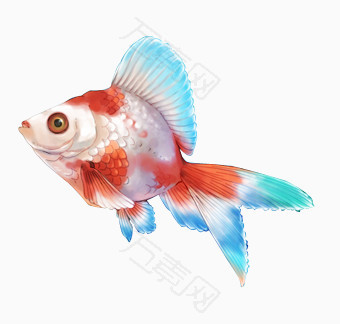 金魚