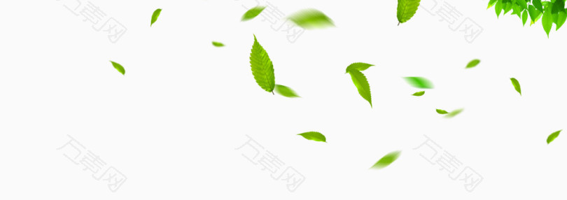 双十一漂浮的叶子