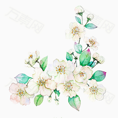 手绘 清新 花朵  彩绘 水彩花