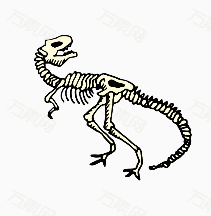 恐龙化石简笔画简单图片