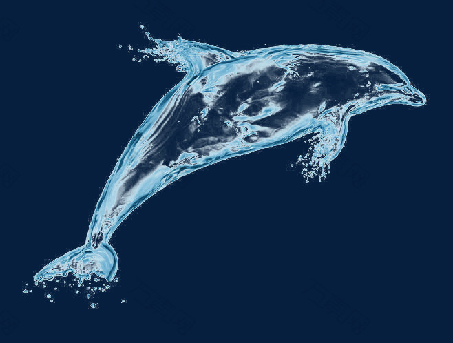 水特效海豚免抠元素图片-元素素材189114-万素网