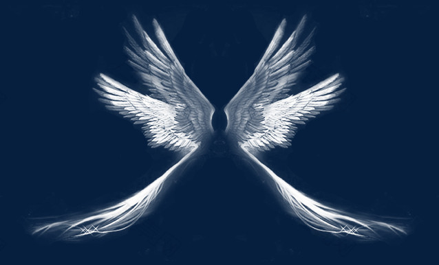 翅膀png元素素材图片下载-万素网