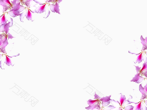 紫色花边背景 Ppt元素 507 380px 编号 Png格式 万素网