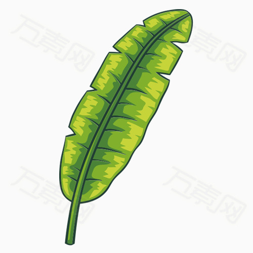 卡通芭蕉叶图片免费下载_卡通手绘_万素网