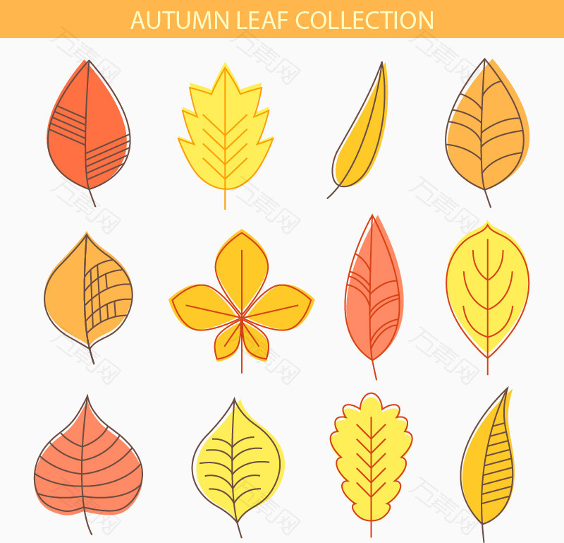 秋天树叶枫叶黄色矢量