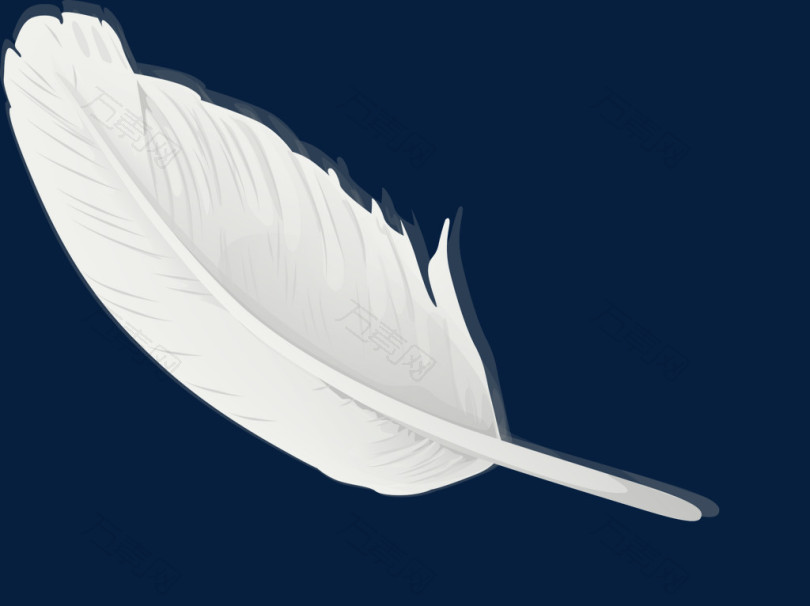 白色羽毛矢量图