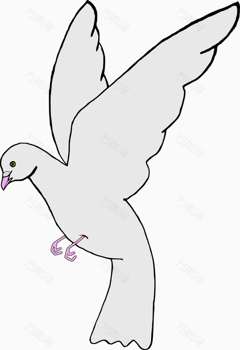 飞行的白鸽