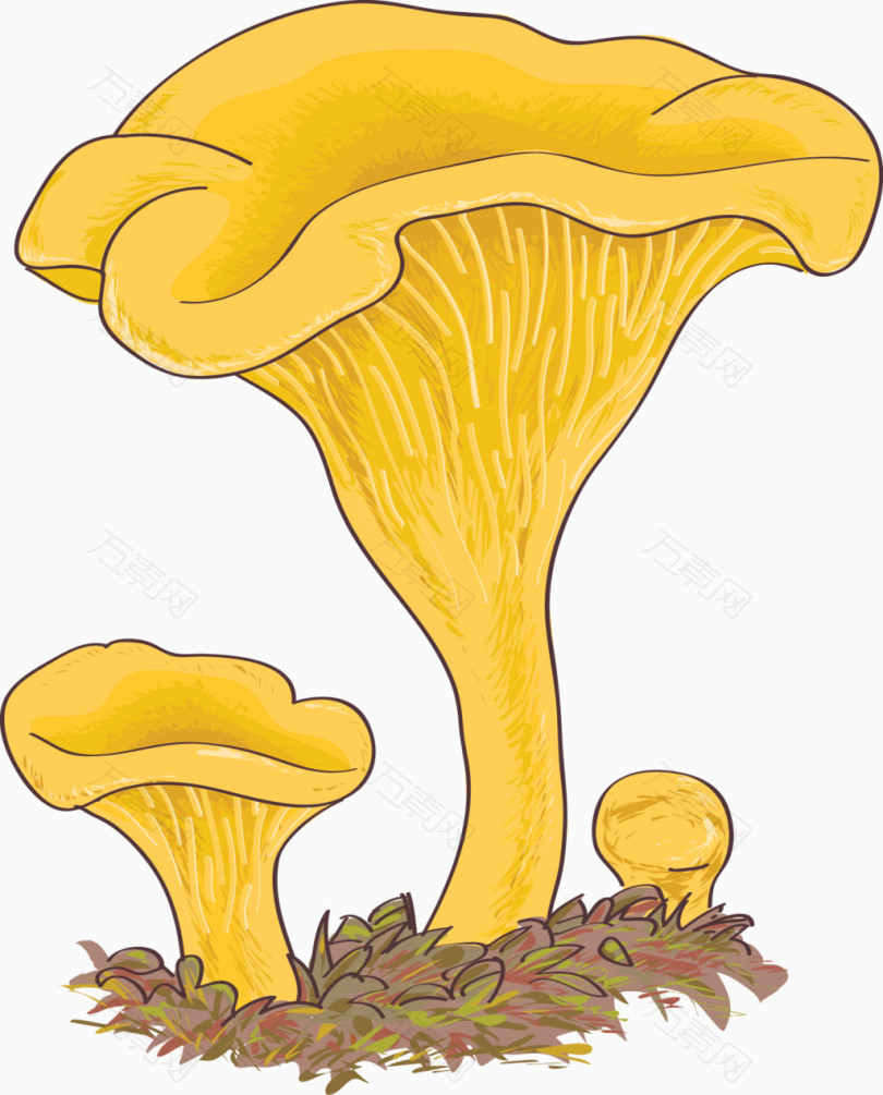 蘑菇黄色矢量图
