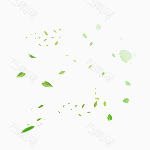 绿色漂浮绿叶