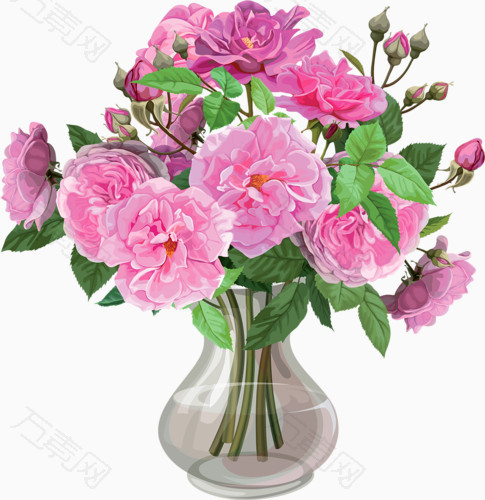 花卉插画植物花草素材
