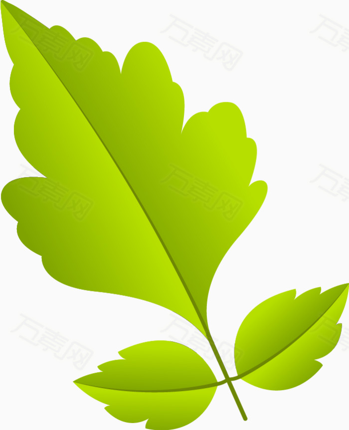 树叶为什么是绿色的答案是什么百科在线