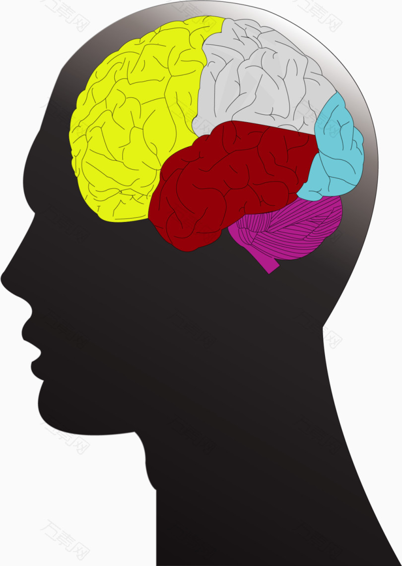 矢量手繪大腦