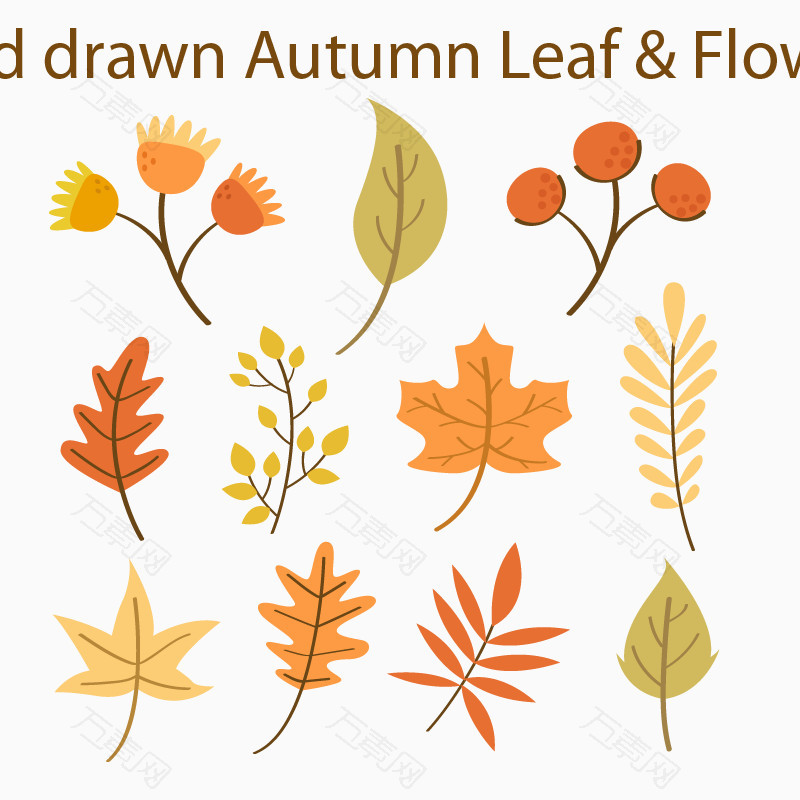 秋天树叶枫叶黄色矢量