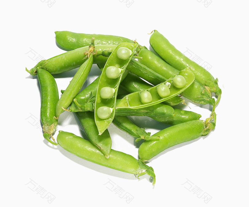 四季豆图片