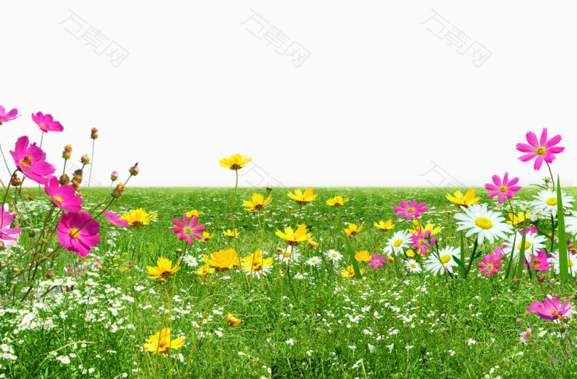 绿色草地