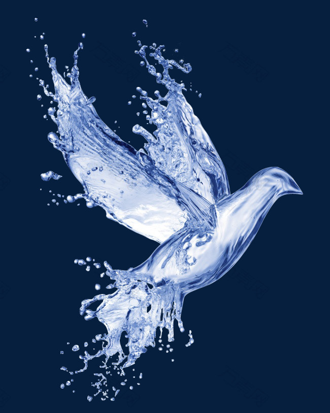 水鸽子特效免抠png图片免抠元素图片-元素素材3451712-万素网