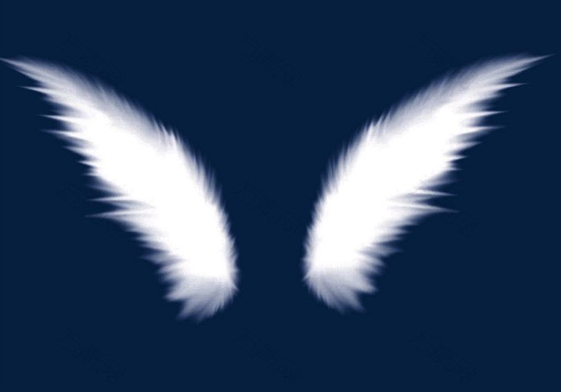 白色唯美羽毛翅膀