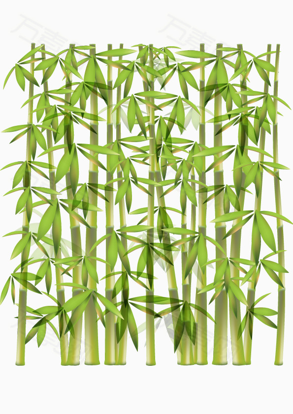 矢量绿色竹林