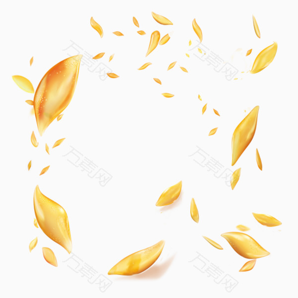香槟色花瓣