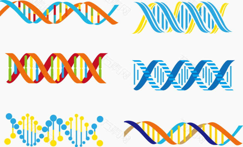 矢量图DNA示意图