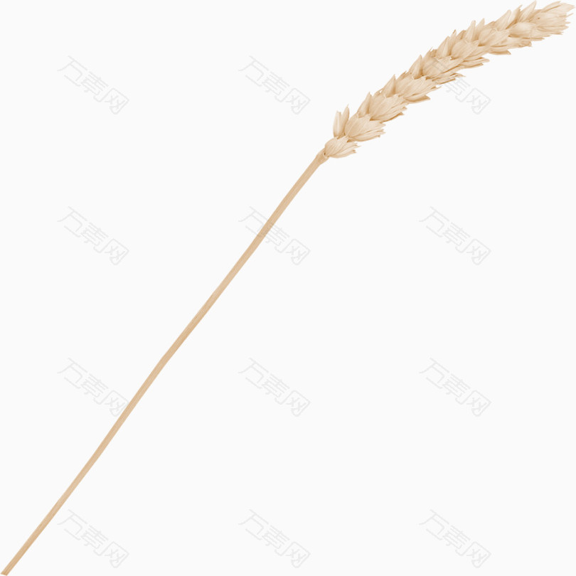 稻草装饰素材