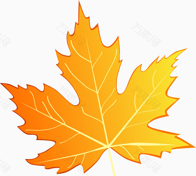 手绘枫叶图案