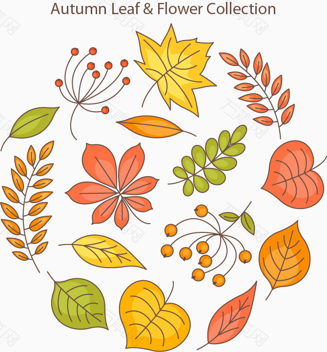 秋天树叶枫叶黄色矢量