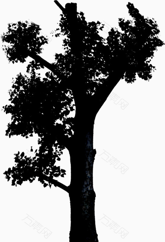 黑色树影png元素素材图片下载-万素网