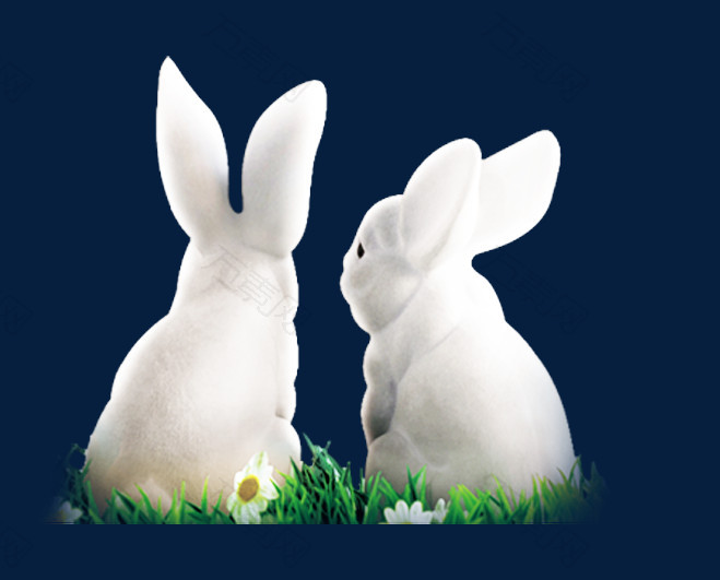 2023兔年生肖兔雪白兔子