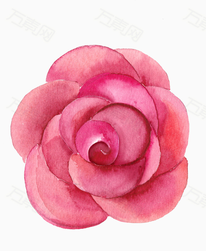 创意花卉图片花卉ps素材