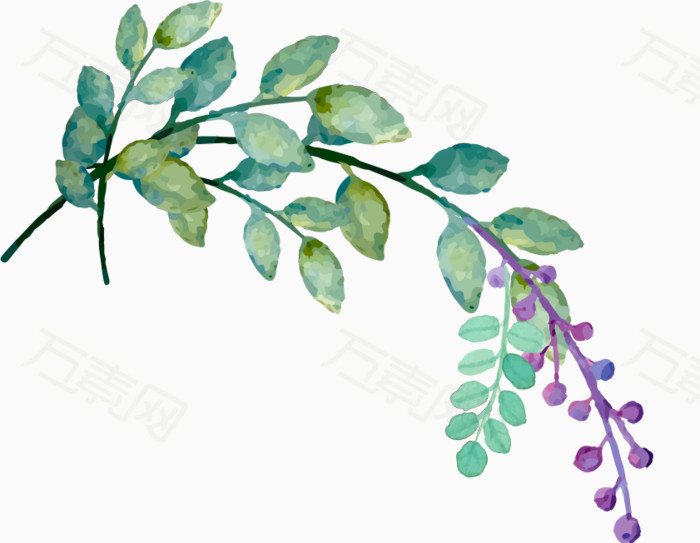 水彩手绘花卉图片免费下载_装饰元素_万素网