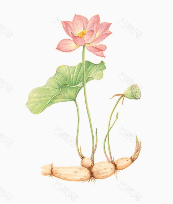 29m,尺寸680*800像素,属于分类:卡通手绘,格式:png,建议使用ps软件