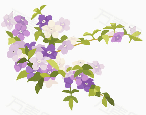 手绘花朵紫罗兰免费下载_卡通手绘_500像素_编号4182604_png格式