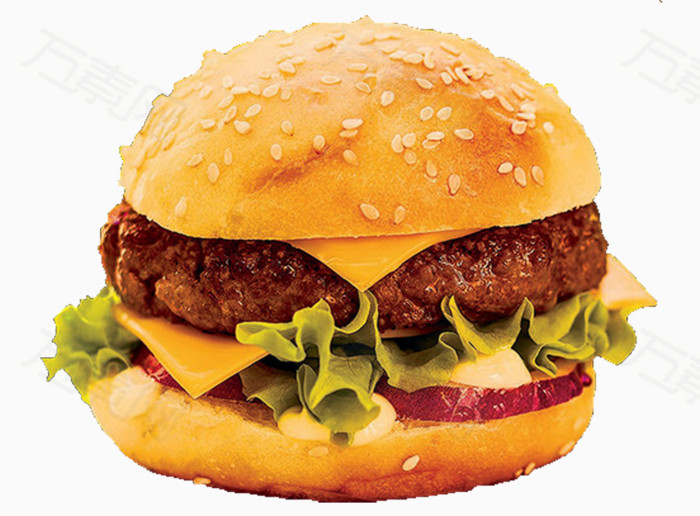 一个汉堡包