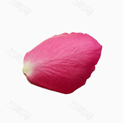 梦幻粉色花瓣